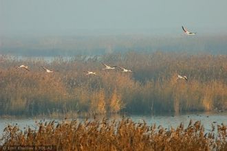 Природоохранная зона скурупулёзно работа