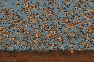 Благодаря отличной работе сотрудников па