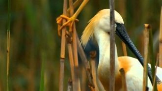 Местные жители называют Аггельский нацио