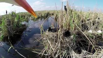 По причине большой значимости данной зон