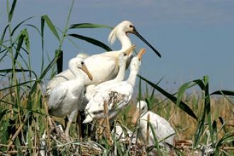 Аггельский национальный парк - одна из и