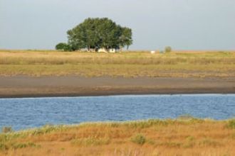 Ихтиофауна региона представлена в больши