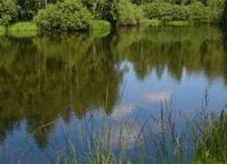 Аг-Гёльский национальный парк занимает т