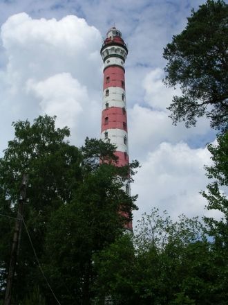 Дело в том, что подрядчик, выигравший ко