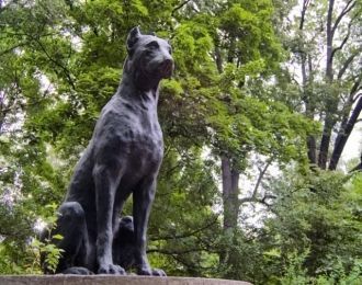 Памятник собаке Павлова - памятник-фонта
