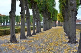 Свой вклад в модернизацию Мариенлиста вн