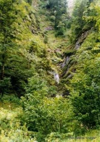 В парке часты сильные дожди (от 1200 до 