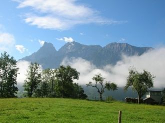 Здесь возникло огромное разнообразие при