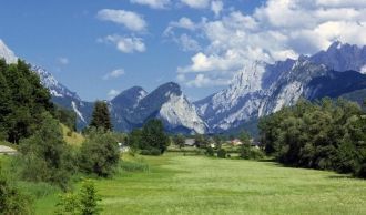 Леса в национальном парке расположены на