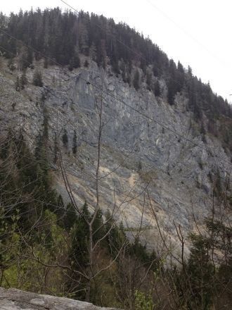 Молодой парк Гезойзе принимает участие в