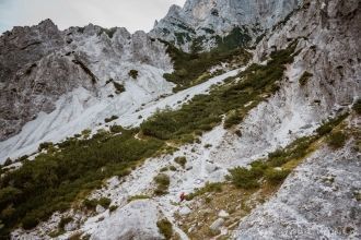 Сказочно прекрасны альпийские луга, на к