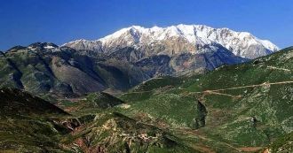 Значительна доля лугов с альпийской раст