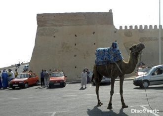 В 1960 году вследствие мощного землетряс