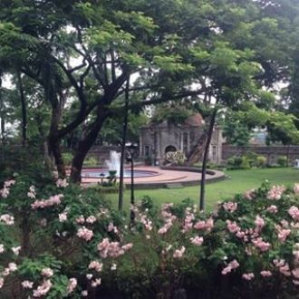 Цветущие кустарники в Пако парке