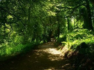 В этот период, как никогда ранее, в Вели
