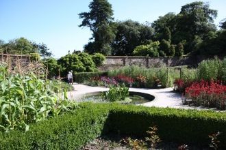 Сам сад находится на территории парковой