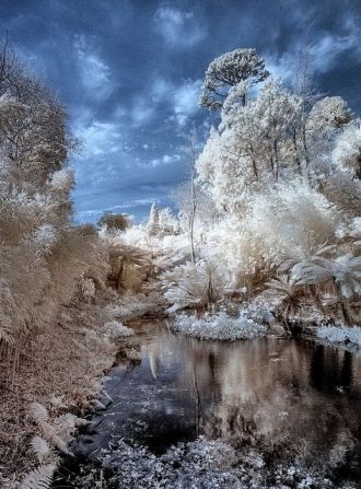Затерянные сады Хелигана зимой.
