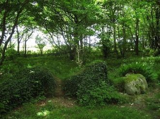 При помощи зеленых насаждений был создан