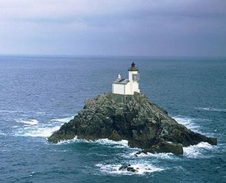 Комиссия не придала особого значения это