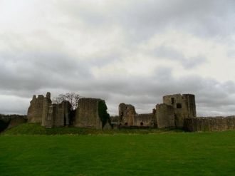 Вейн решил сделать Рэби своим основным м