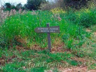 Указатель Северный холм, Олинфос.