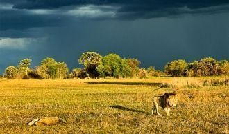 Национальный парк Кафю