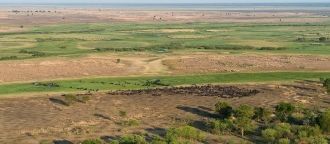 Из растений особый интерес представляют 