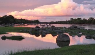 Болотистые берега отличное место для охо