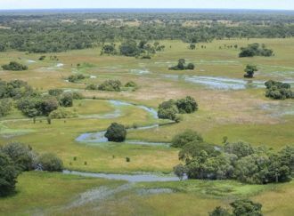 Реки в изобилии дарят живительную влагу 