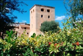 Сейчас здесь расположились несколько муз