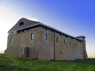 Большинство членов семейства Аголанти по