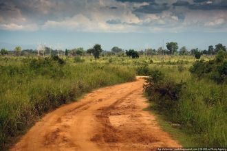 В самом парке дорогие плохие.