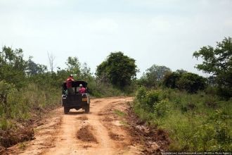 Туристов в парке катают на специальных в