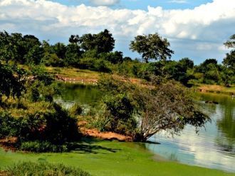 Вся она пронизана сетью дорог, которые в