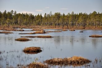 На сегодняшний день за национальным парк