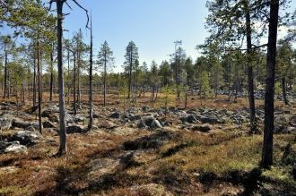 Национальный парк Пасвик