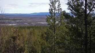 Всё, что мы знаем об российской тайге в 