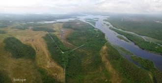 Небольшая часть парка Пасвик занята боло