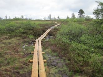 Национальный парк Пасвик открыт для посе