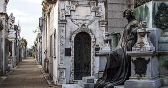 Раньше на этом месте росли фруктовые дер