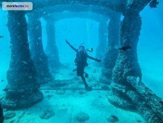 Любой сертифицированный дайвер имеет пра