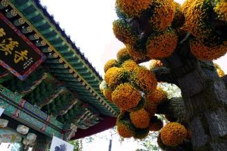 Особенностью этого храмового здания счит