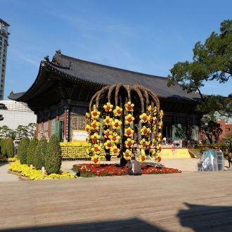 Площадь территории храма составляет не б