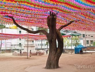 Не менее ценными атрибутами являются дре