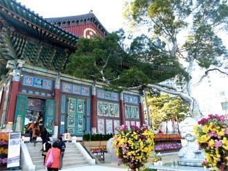 Эти растения величественно раскидывают с