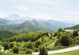 Никакие меры пресечения не помогали - Ни