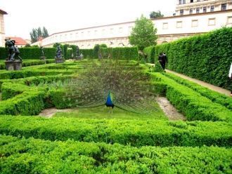 Сад дворца создавался по образцу итальян