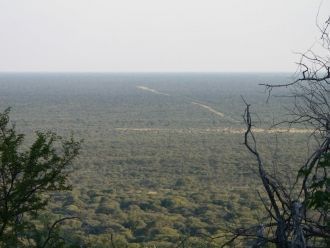 В 1989 году в парке появились чёрные нос