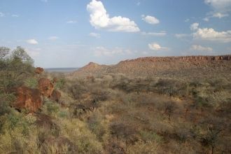 Здесь можно увидеть представителей редки