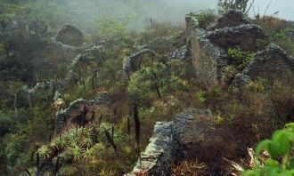 Согласно предположениям ученых, возраст 